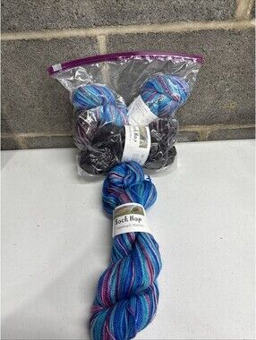 Dancing Leaf Farm “Sock Hop” Superwash Merino Mixed Color 4 Skein Lot